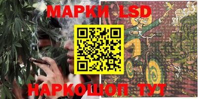индика Жуковский