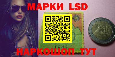 индика Жуковский