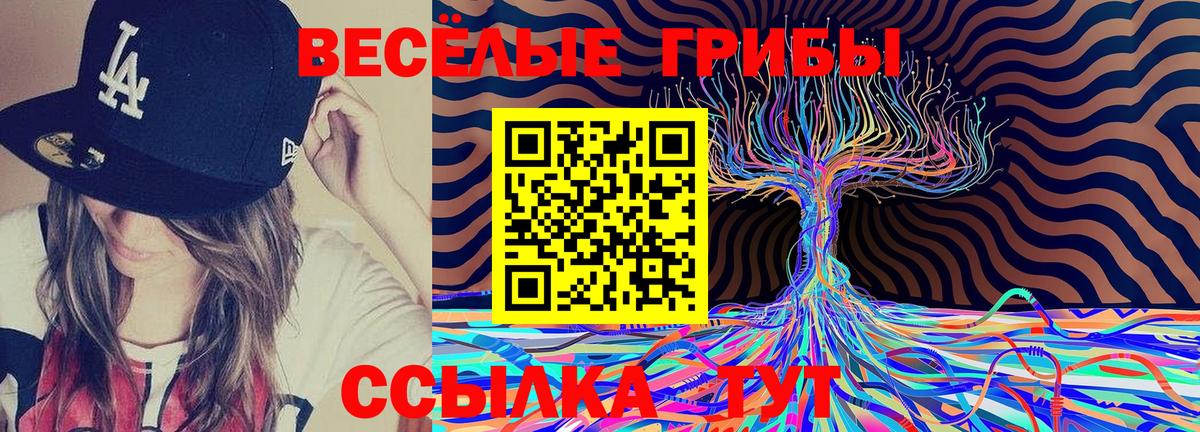 Псилоцибиновые грибы Psilocybine cubensis Бирск